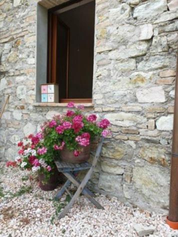 بيرغولا B & B La Primavera المظهر الخارجي الصورة