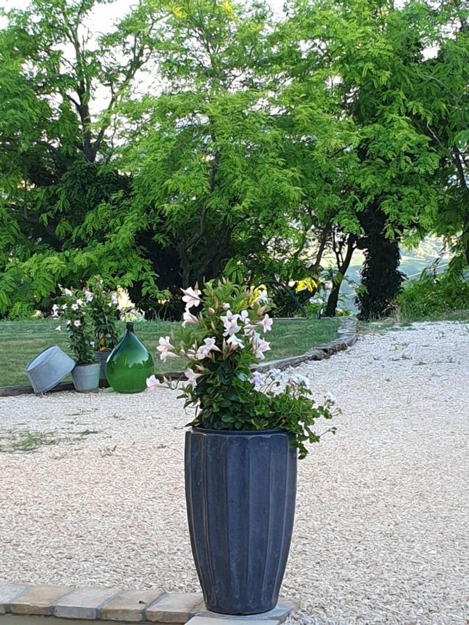 بيرغولا B & B La Primavera المظهر الخارجي الصورة